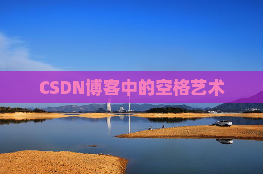 CSDN博客中的空格艺术